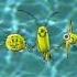 United Plankton Pictures Inc Nickelodeon Productions 2009
