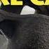How To Rebuild A Front Brake Caliper EricTheCarGuy