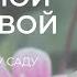 МОХ прогулка с Татьяной Поляковой по Ботаническому саду Петра Великого в Санкт Петербурге