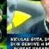 Nicolae Guta Feat Liviu Pustiu Si Cristi Dules Mr Juve Don Genove Borfas Vagabond
