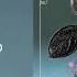 TH EN 365 SLVR Remix NOW Recordings
