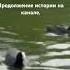 Понятия не имею от кого ты беременна