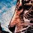 Seven Senses Original Mix