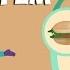 Digestive System The Dr Binocs Show Learn Videos For Kids
