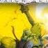 Dark Sun And Why It S Great Dungeons And Dragons Web DM