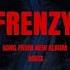 THE GAZETTE FRENZY MASS ALBUM