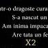 Karaoke S A Născut Un Printisor Re Minor