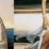 Don T Gotta Go Home Featuring DMX Feat DMX Monica Slowed