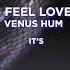 I Feel Love Cover By Venus Hum