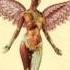 Nirvana Serve The Servants Live Loud In Utero 20th Anniversary Super Deluxe Edition 2013