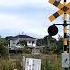 Railroad Crossing Shorts