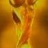 FIFA World Cup Germany 2006 Intro 2