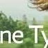 Anne Tyler Dinner At The Homesick Restaurant Ladder Of Years The Amateur Marriage Three BBC