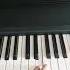 Lingang Guli Guli Guli On Piano Pianist Piano Lingang