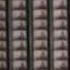 Tehching Hsieh One Year Performance 1980 1981
