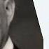 Joseph Duveen Art Of The Deal Part 2