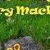 2025 05 28 Mr Osis Daily Dive Recent Harry Mack Highlights