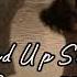 İrem Güral Sarmaşık Speed Up Istek