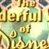The Wonderful World Of Disney RARE Early Version Of The 1972 Intro 1972 73