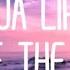 Dua Lipa Dance The Night Lyrics