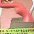 JAPAN AIRLINES SAFETY