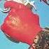 BULLSEYE Paris Texas Indigo Mix