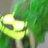 Ben 10 Wildvine Transformation In Real Life Ben10