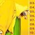 Billie Eilish Greatest Hits Full Album 2024 Billie Eilish Best Songs Playlist 2024 With Lyrics