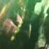 KASH DOLL PERFORMING OLD FREAK AND DA BADDEST AT THE WO