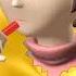 JAPAN AIRLINES SAFETY VIDEO