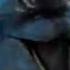 Crazy Laughing Dolphin