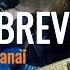 STORIE BREVI Annalisa Tananai How To Play