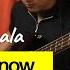 Tame Impala The Less I Know The Better Bass Cover With Tab