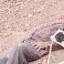 Dangerous Valley The Fall Of A Tribal Father And The Courage Of His Wife The Heroism Of A Loyal Dog