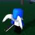 He Was On Day 1 000 000 Roblox Kitsunefruit Bloxfruits Onepiece