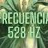 Transforma Tu Vida Con 528Hz La Frecuencia Milagrosa Que Resuena Con El Universo