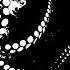 The Spirit Of Intuition Octopus Spirit Intuition Vulnerability