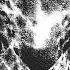 Lunacy Glyph Silent Servant Remix