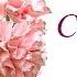 Tutorial Carnations