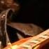 Ryan McGarvey Blue Eyed Angel Blues Live For Bluesmoose Radio