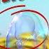 Dragon Mania Legends Gameplay Walkthrough Part 1 Level 75 Bubble Dragon IOS Android