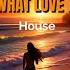 I Want To Know What Love Is Electro House
