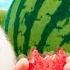 Booba Watermelon Farm Cartoon For Kids