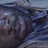 A Look At Season 6 Fear The Walking Dead