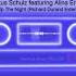 Markus Schulz Featuring Alina Eremia You Light Up The Night Richard Durand Extended Remix