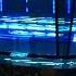 St Louis Blues Intro Goal Horn
