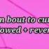 Im Bout To Cum Slowed Reverb