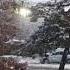 Tombe La Neige Salvatore Adamo