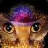 Gold Dust Extended Mix