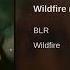 Wildfire Festival Mix